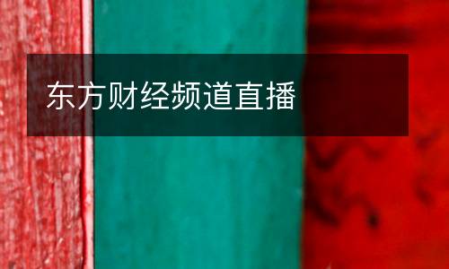 東方財(cái)經(jīng)頻道直播