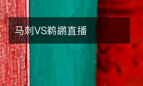 馬刺VS鵜鶘直播